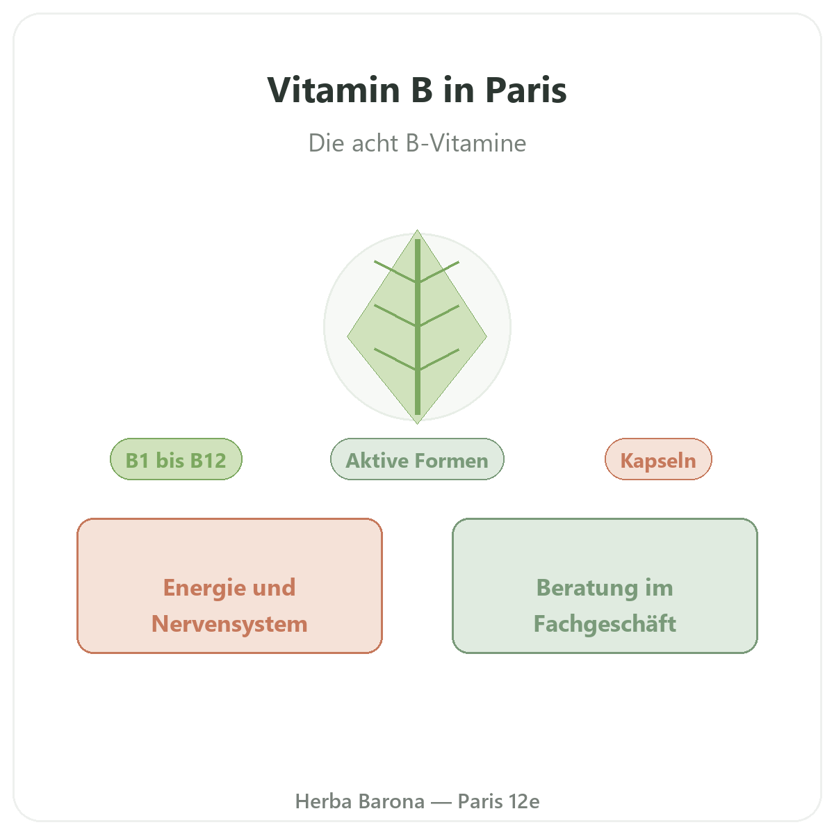 B-Vitamine in Paris - bei Herba Barona Paris 12e