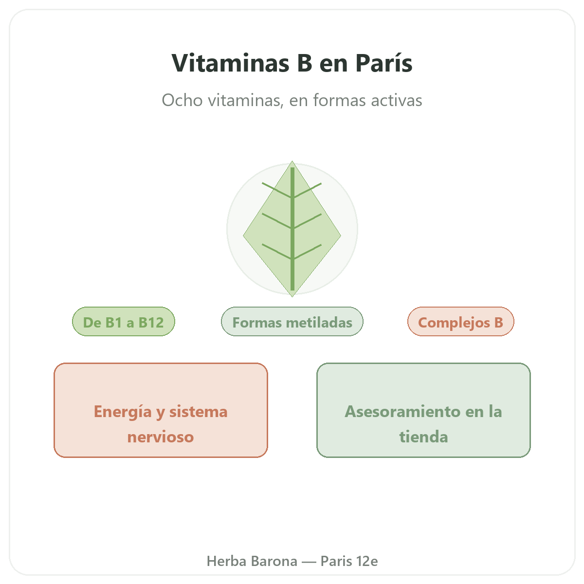 Vitaminas B en Paris - en Herba Barona Paris 12e