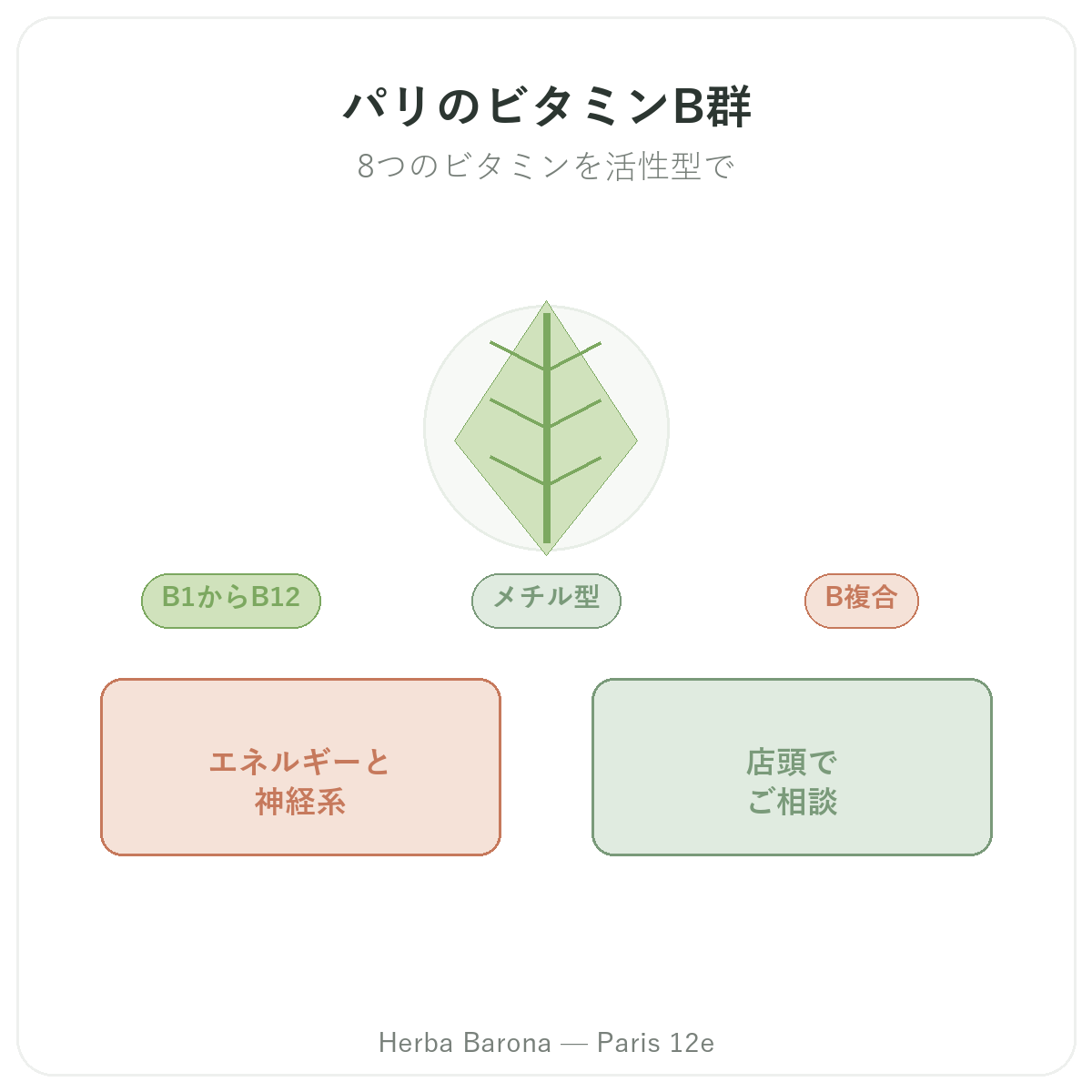 パリのビタミンB - Herba Barona パリ12区
