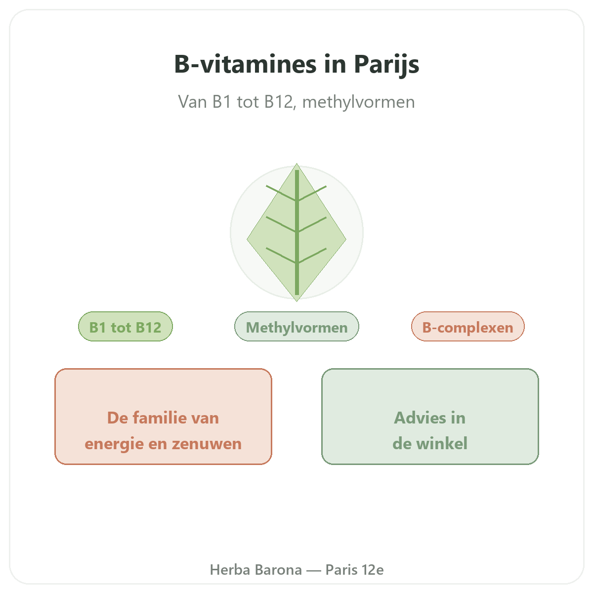 Vitamines B a Paris - chez Herba Barona Paris 12e