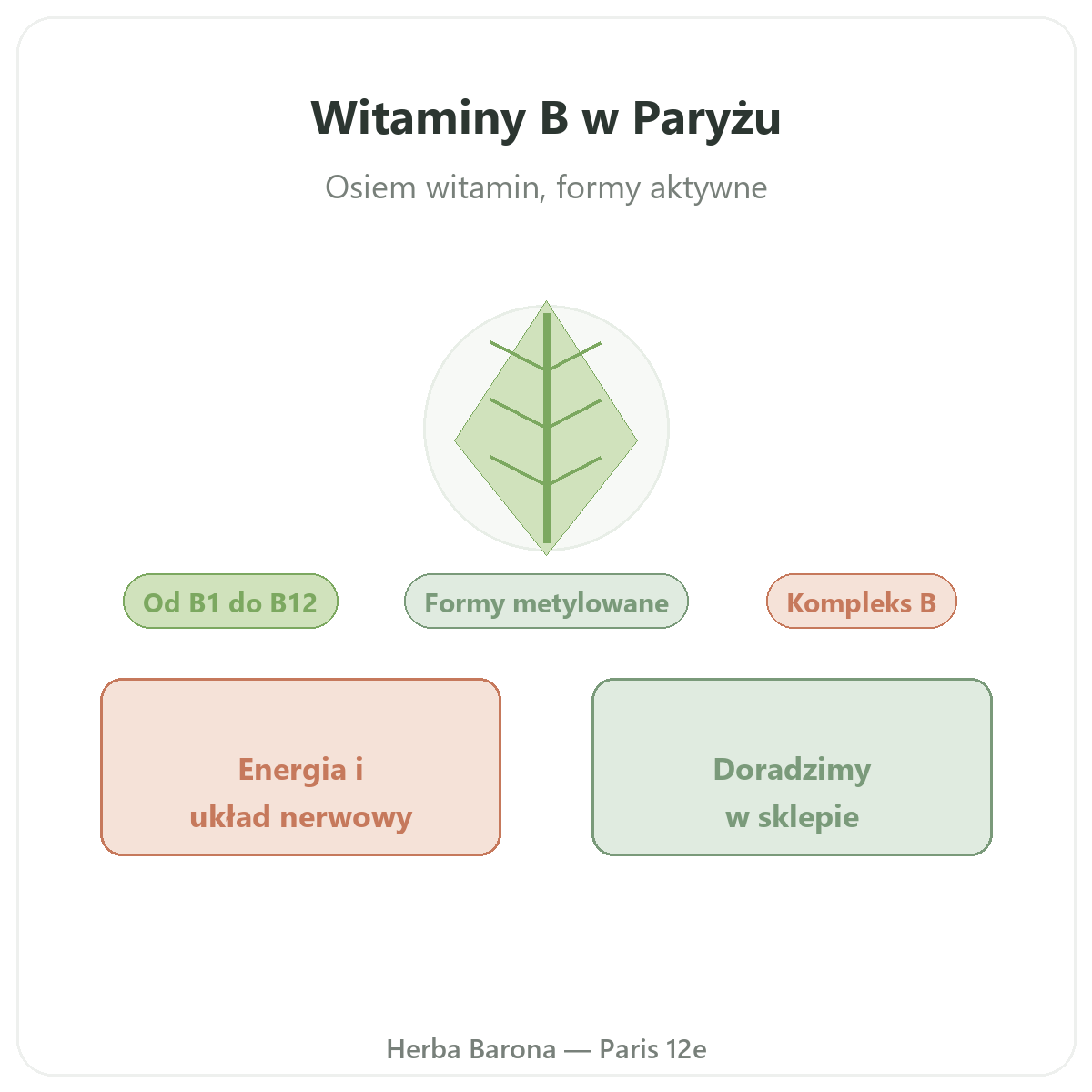 Vitamines B a Paris - chez Herba Barona Paris 12e