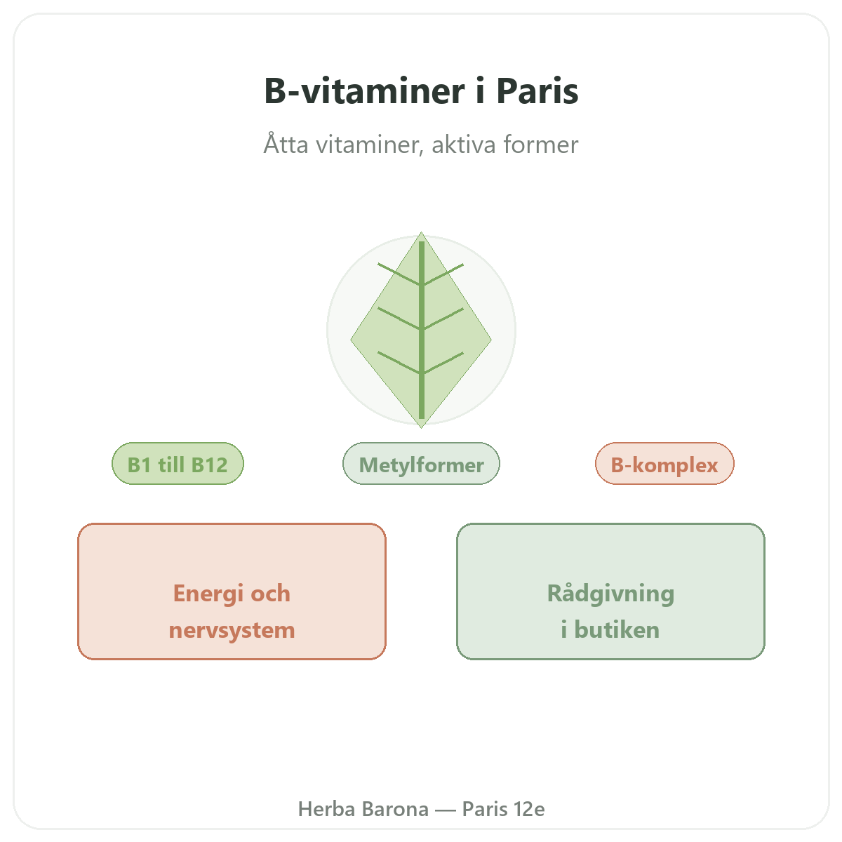 B-vitaminer i Paris – hos Herba Barona Paris 12e