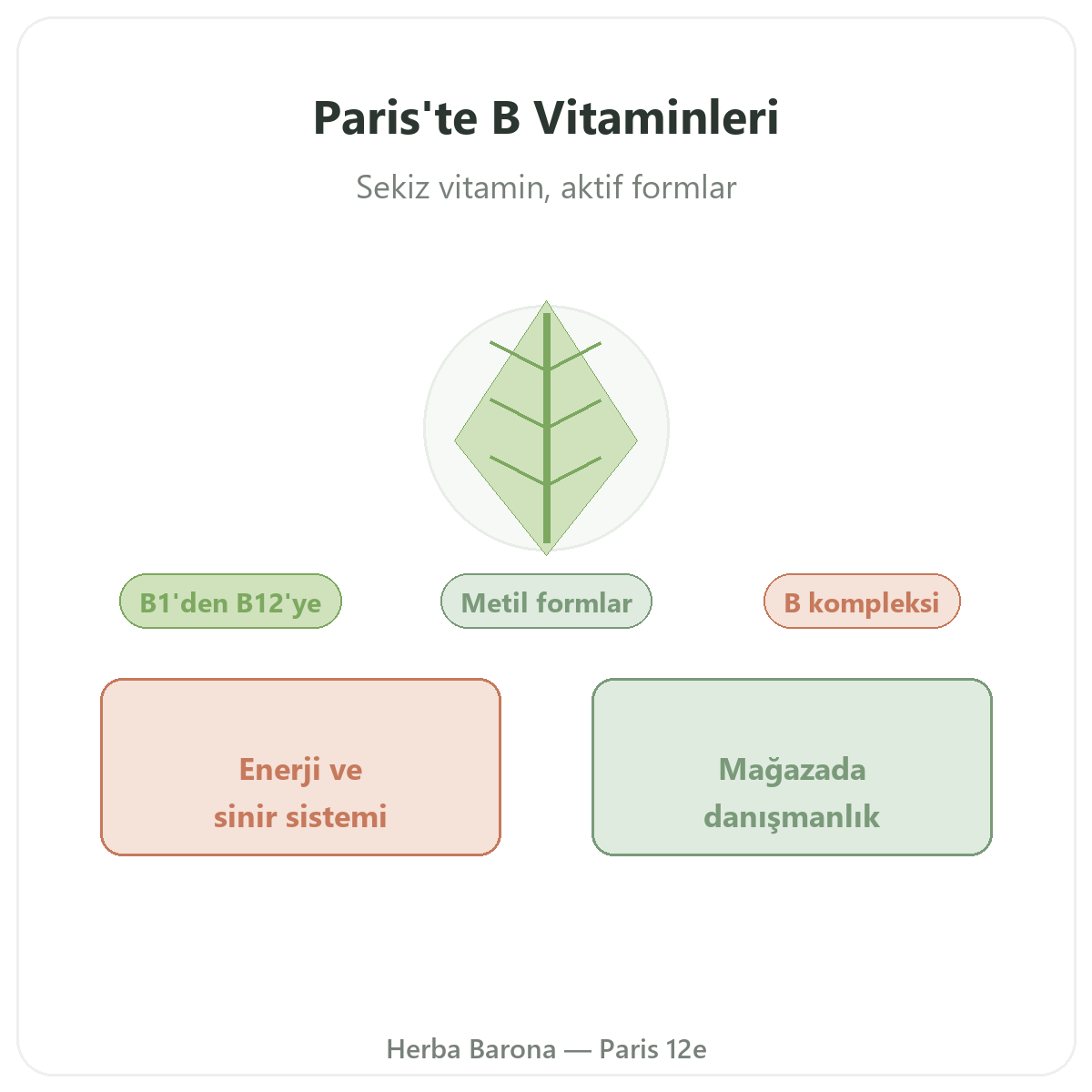 Paris’te B Vitaminleri - Herba Barona Paris 12. bölge
