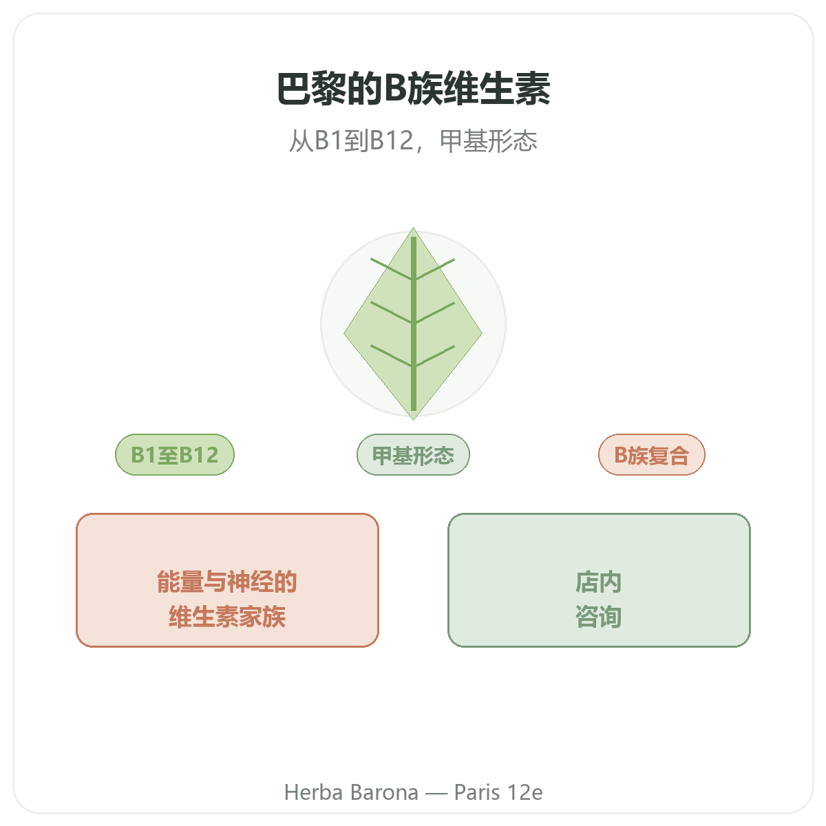 维生素B族 巴黎 - Herba Barona巴黎12区