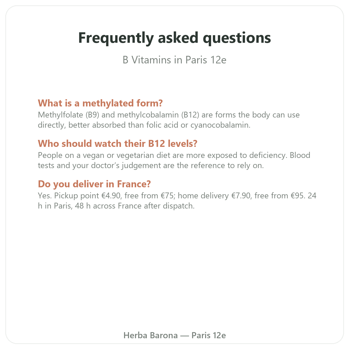 Frequently asked questions about B Vitamins in Paris - Herba Barona Paris 12th