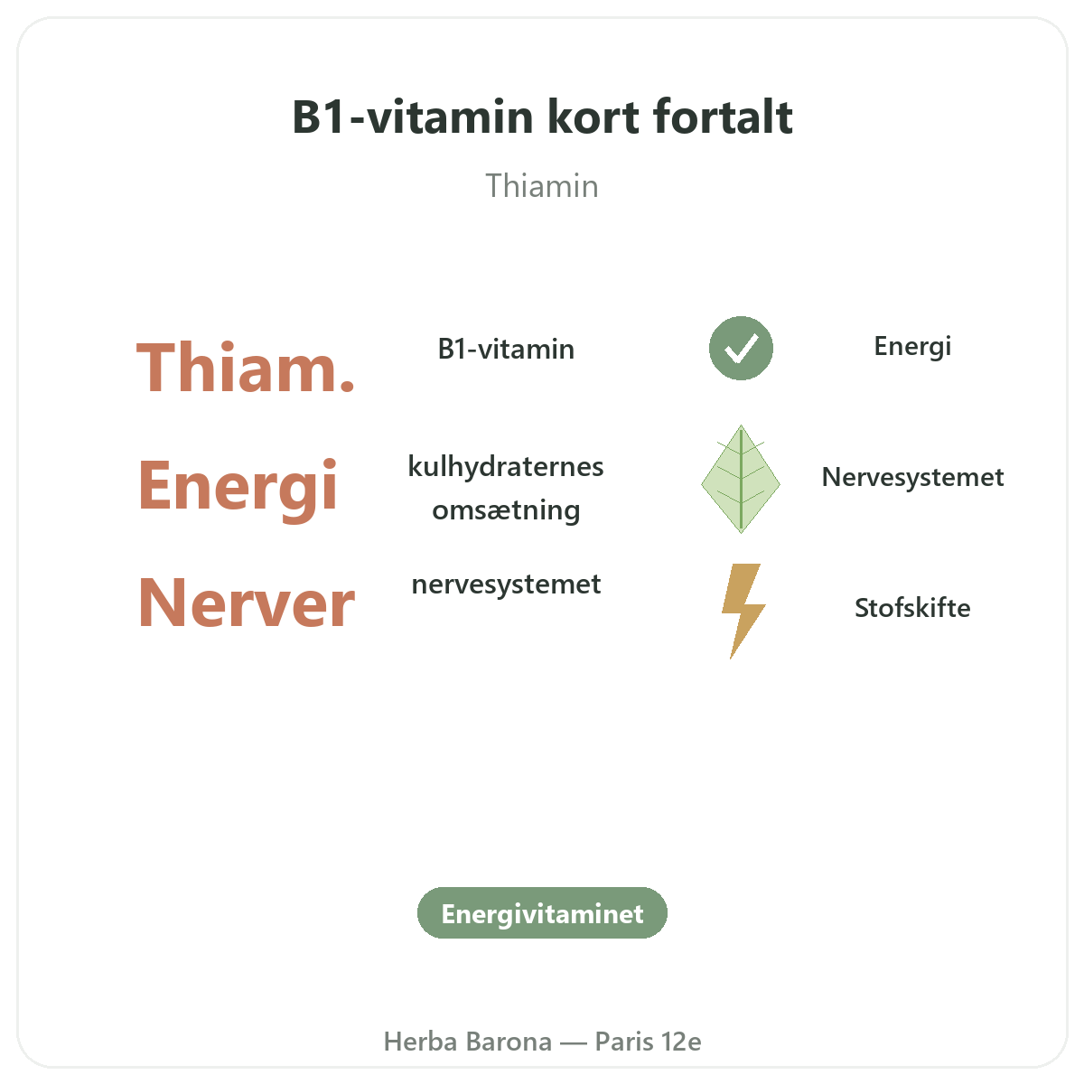 Vitamin B1 Paris Paris kort fortalt - nøgletal hos Herba Barona Paris 12