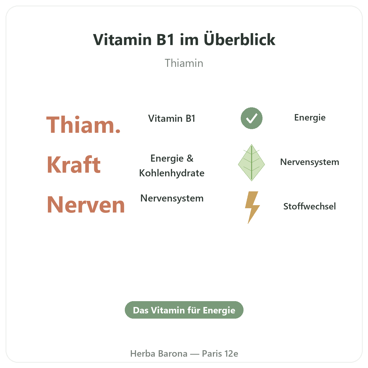 Vitamin B1 Paris auf einen Blick - wichtige Zahlen bei Herba Barona Paris 12e