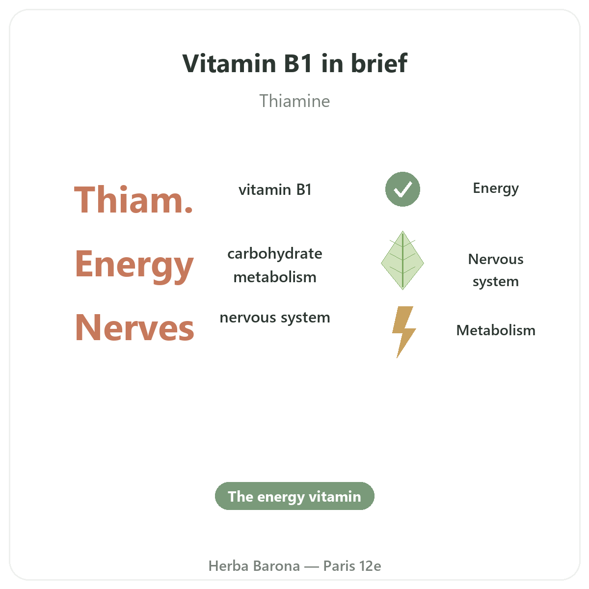 Vitamin B1 in Paris at a glance - key facts at Herba Barona Paris 12th