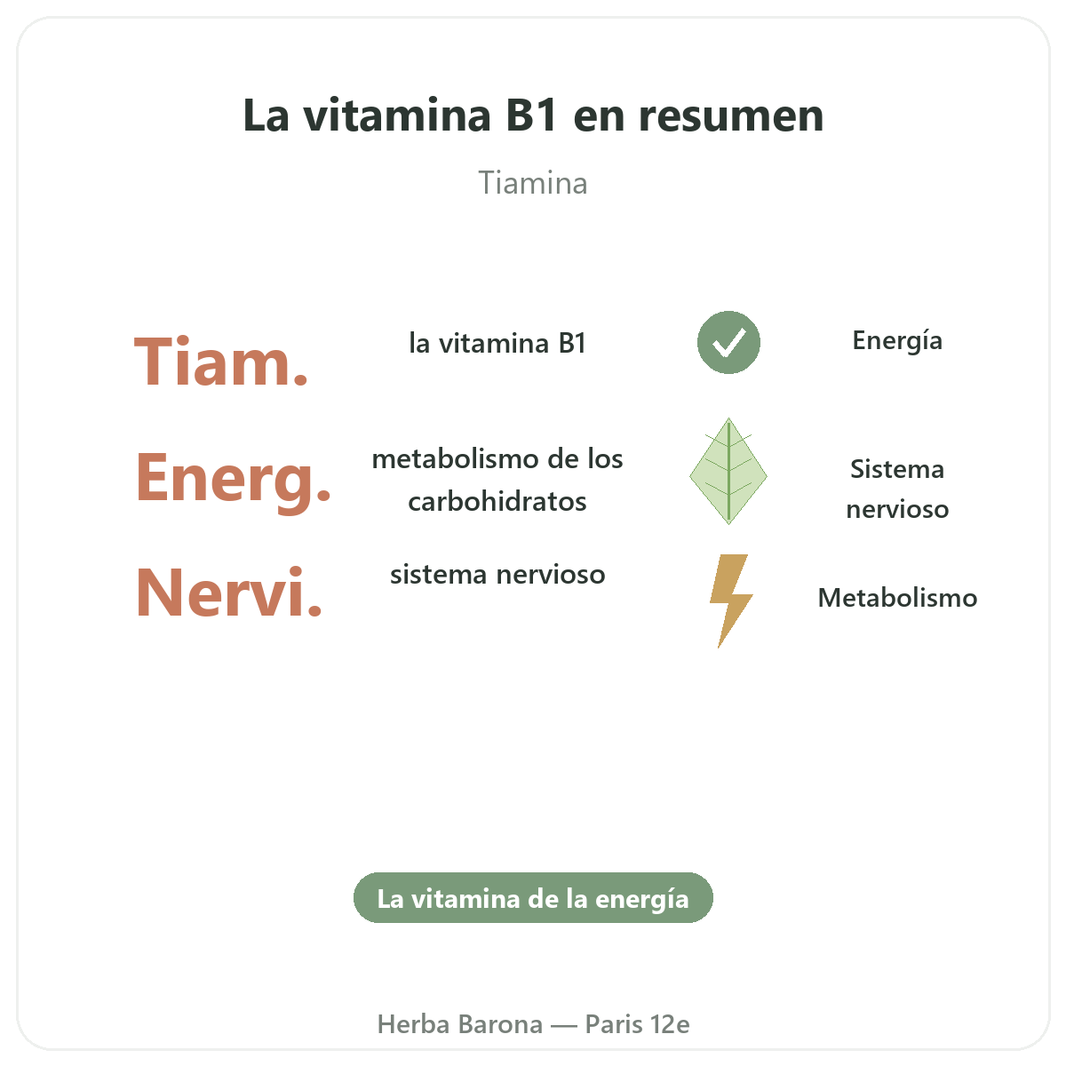 Vitamina B1 París París en breve - cifras clave en Herba Barona París 12e