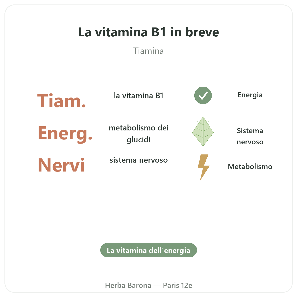 Vitamina B1 Parigi in breve - dati chiave da Herba Barona Parigi 12e