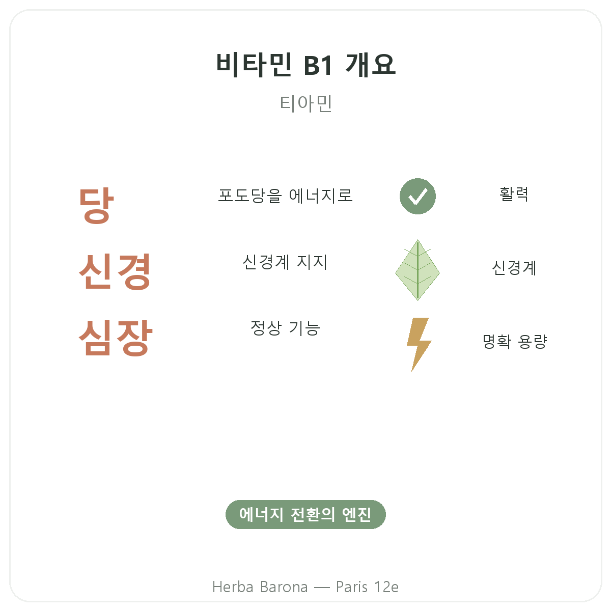 비타민 B1 한눈에 보기 - 주요 수치, Herba Barona 파리 12구