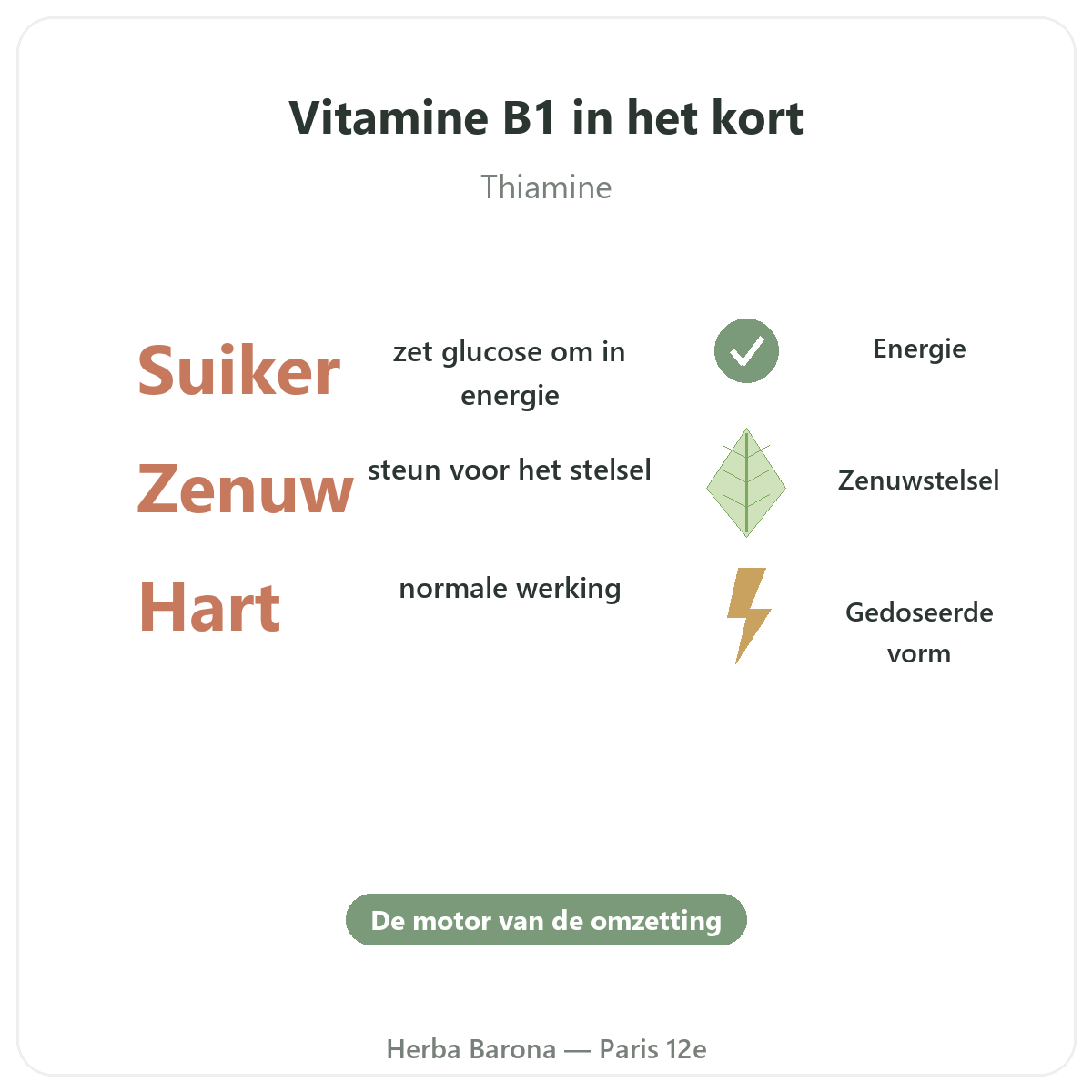 Vitamine B1 in Parijs in het kort - kerncijfers bij Herba Barona Parijs 12e