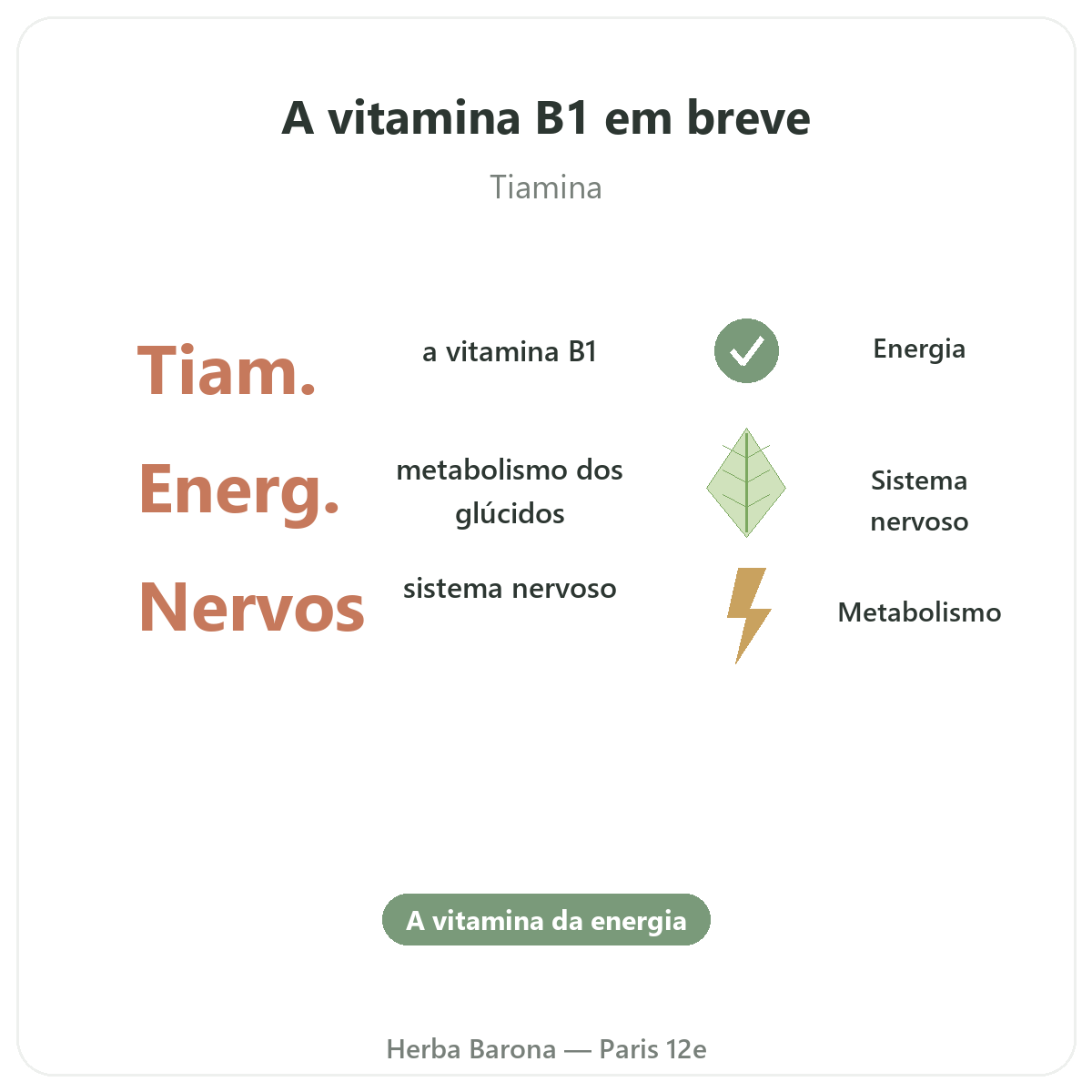 Vitamina B1 Paris em resumo - números-chave na Herba Barona Paris 12e