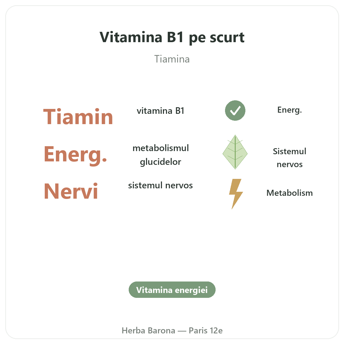 Vitamina B1 Paris Paris pe scurt - cifre cheie la Herba Barona, Paris, arondismentul 12