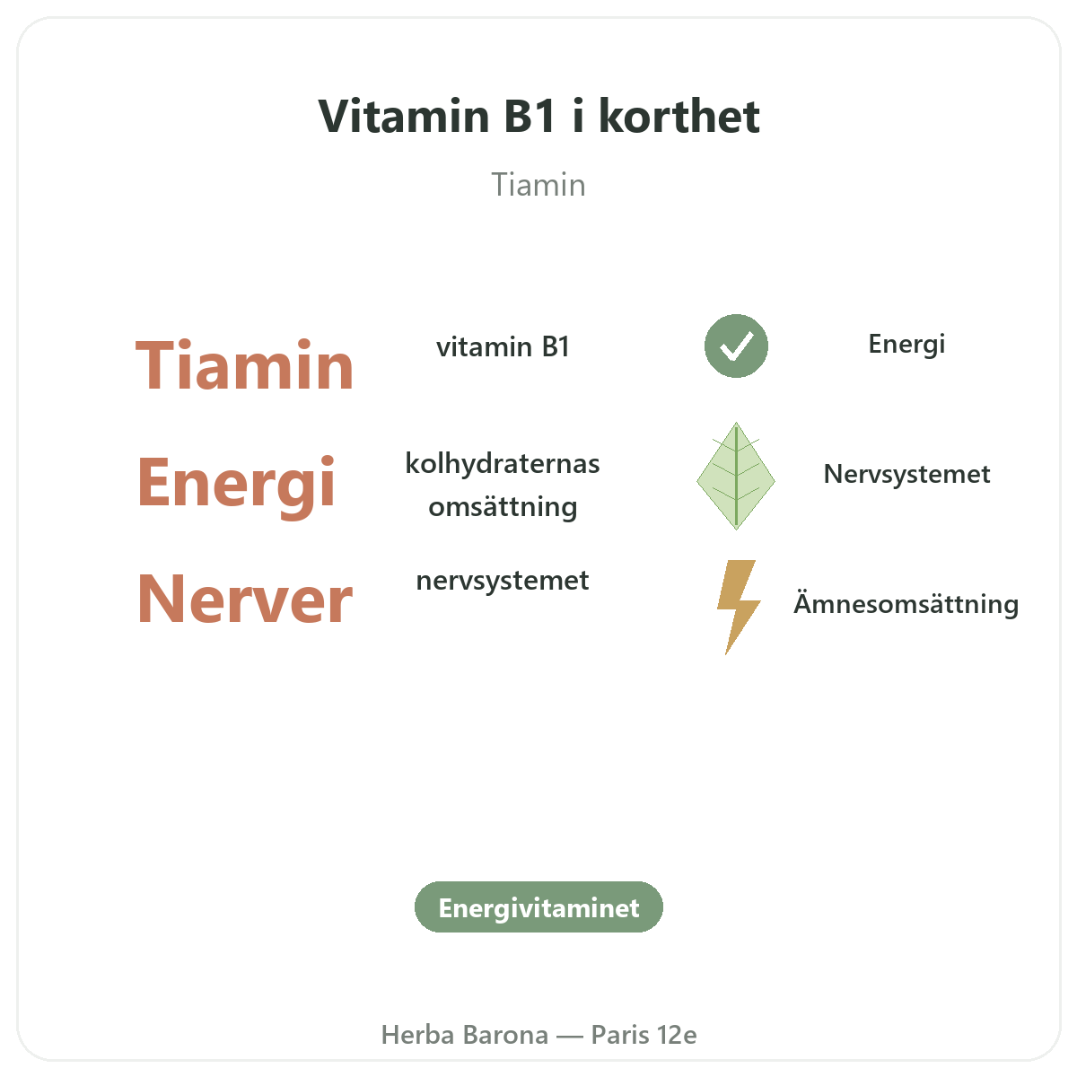Vitamin B1 Paris Paris i korthet – nyckeltal hos Herba Barona Paris 12e