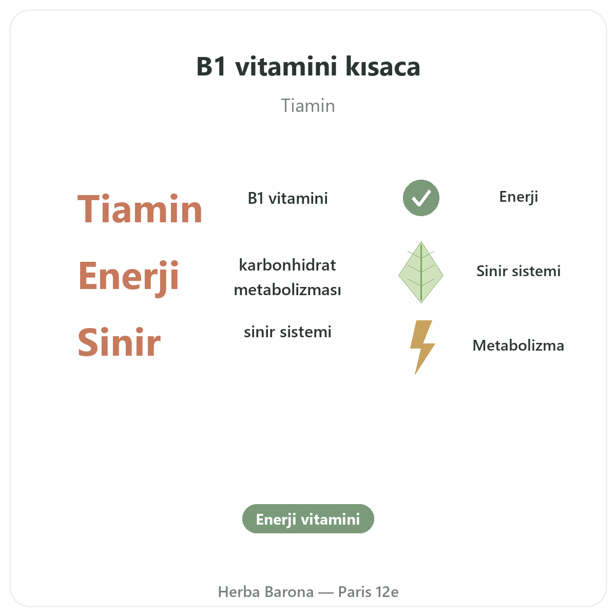 Paris’te Vitamin B1 özet - Herba Barona Paris 12e’de önemli rakamlar