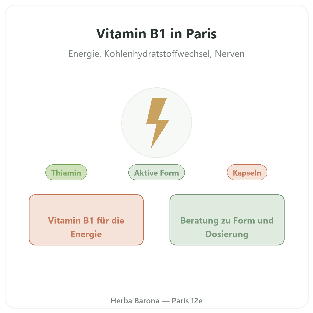 Vitamin B1 Paris - Markenvorstellung bei Herba Barona Paris 12e