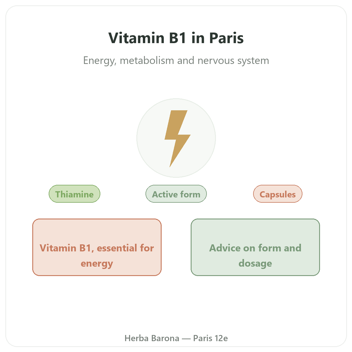 Vitamin B1 in Paris - brand overview at Herba Barona Paris 12th