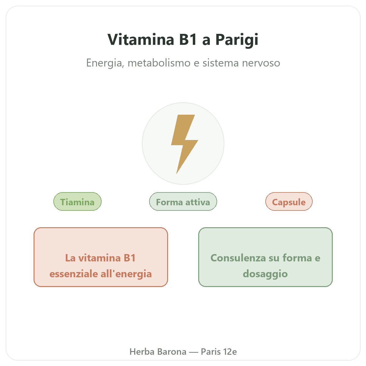 Vitamina B1 Parigi - presentazione del marchio da Herba Barona Parigi 12e