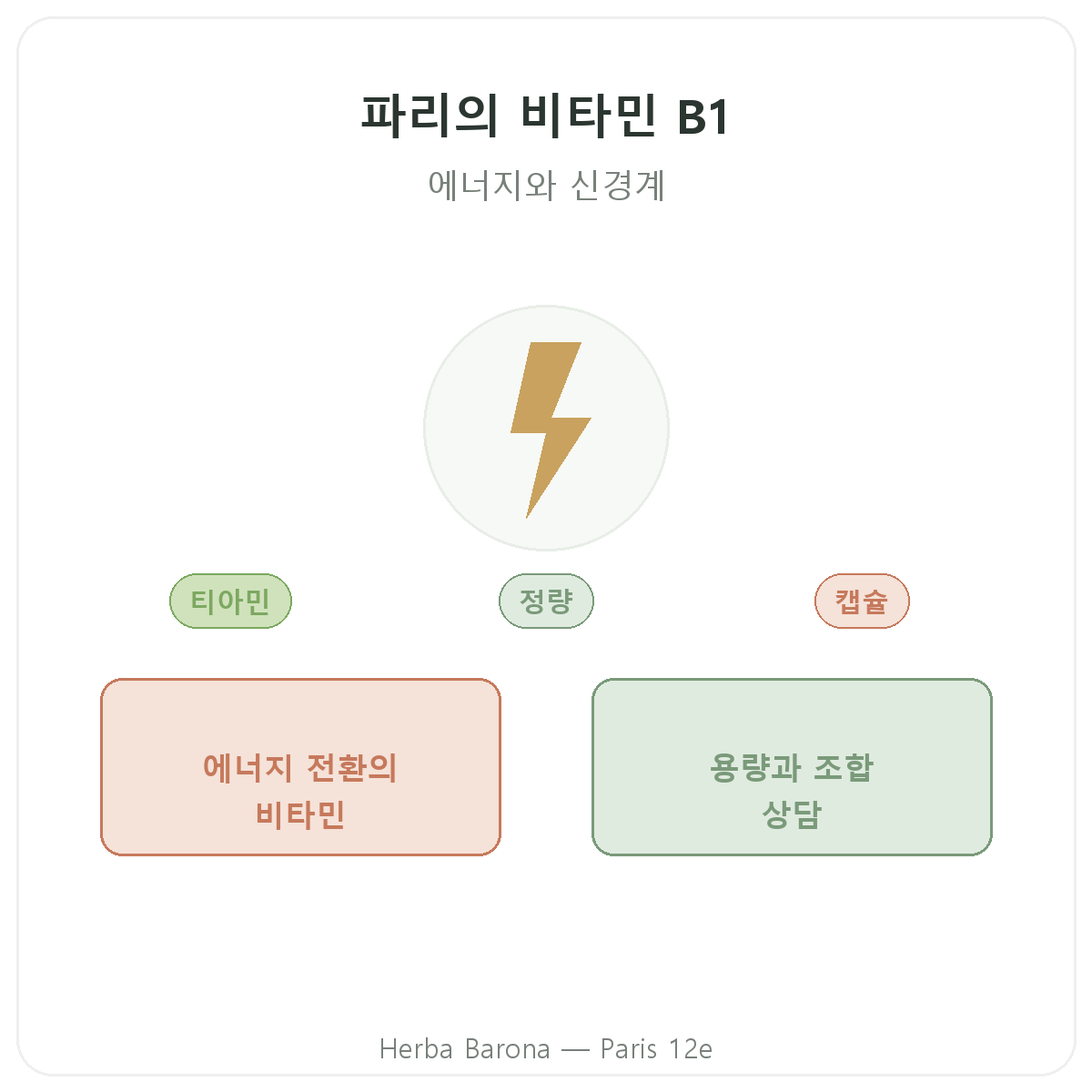 비타민 B1 파리 - 브랜드 소개, Herba Barona 파리 12구