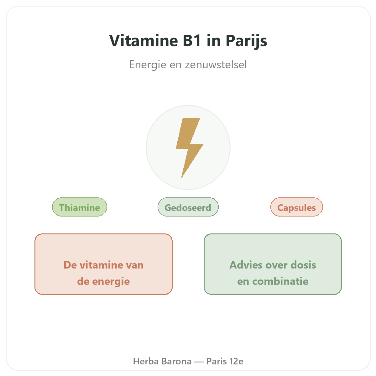 Vitamine B1 in Parijs - presentatie van het merk bij Herba Barona Parijs 12e