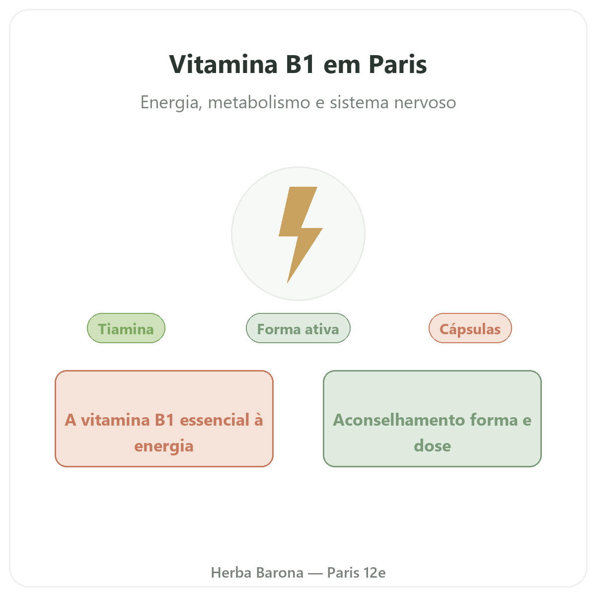 Vitamina B1 Paris - apresentação da marca na Herba Barona Paris 12e