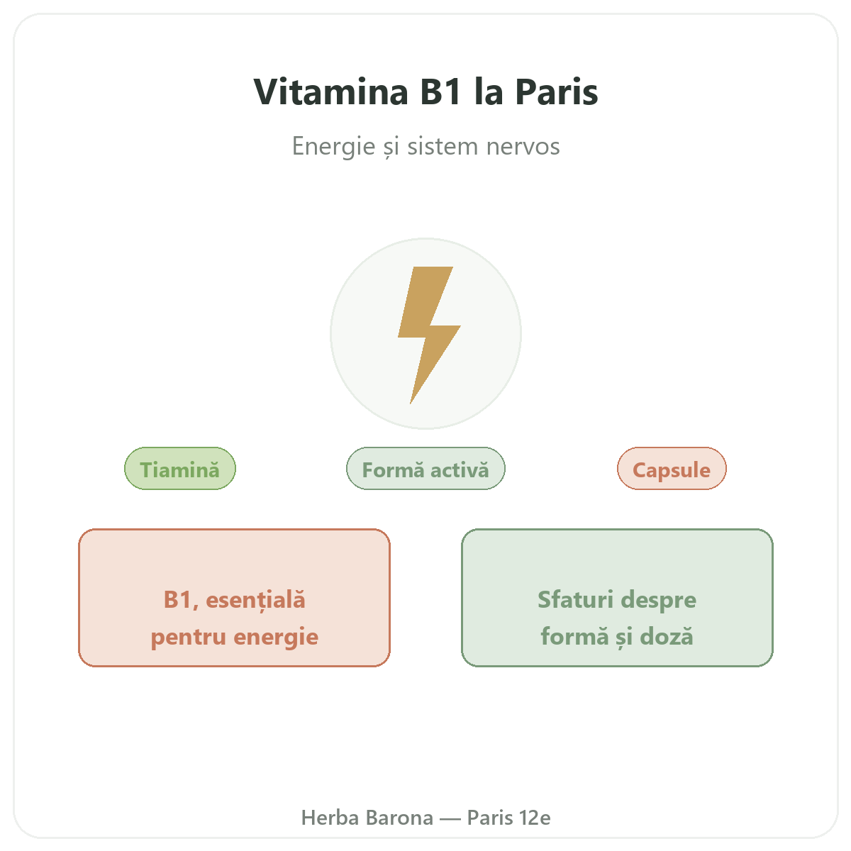 Vitamina B1 Paris Paris - prezentarea mărcii la Herba Barona, Paris, arondismentul 12