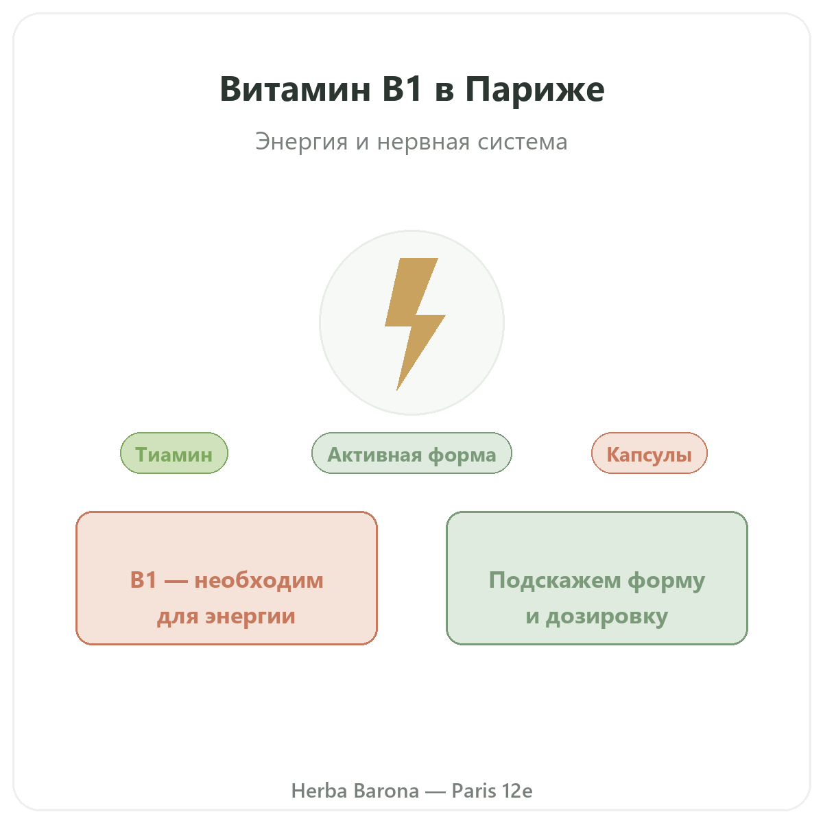Витамин B1 Париж Париж - презентация марки в магазине Herba Barona Париж, 12-й округ