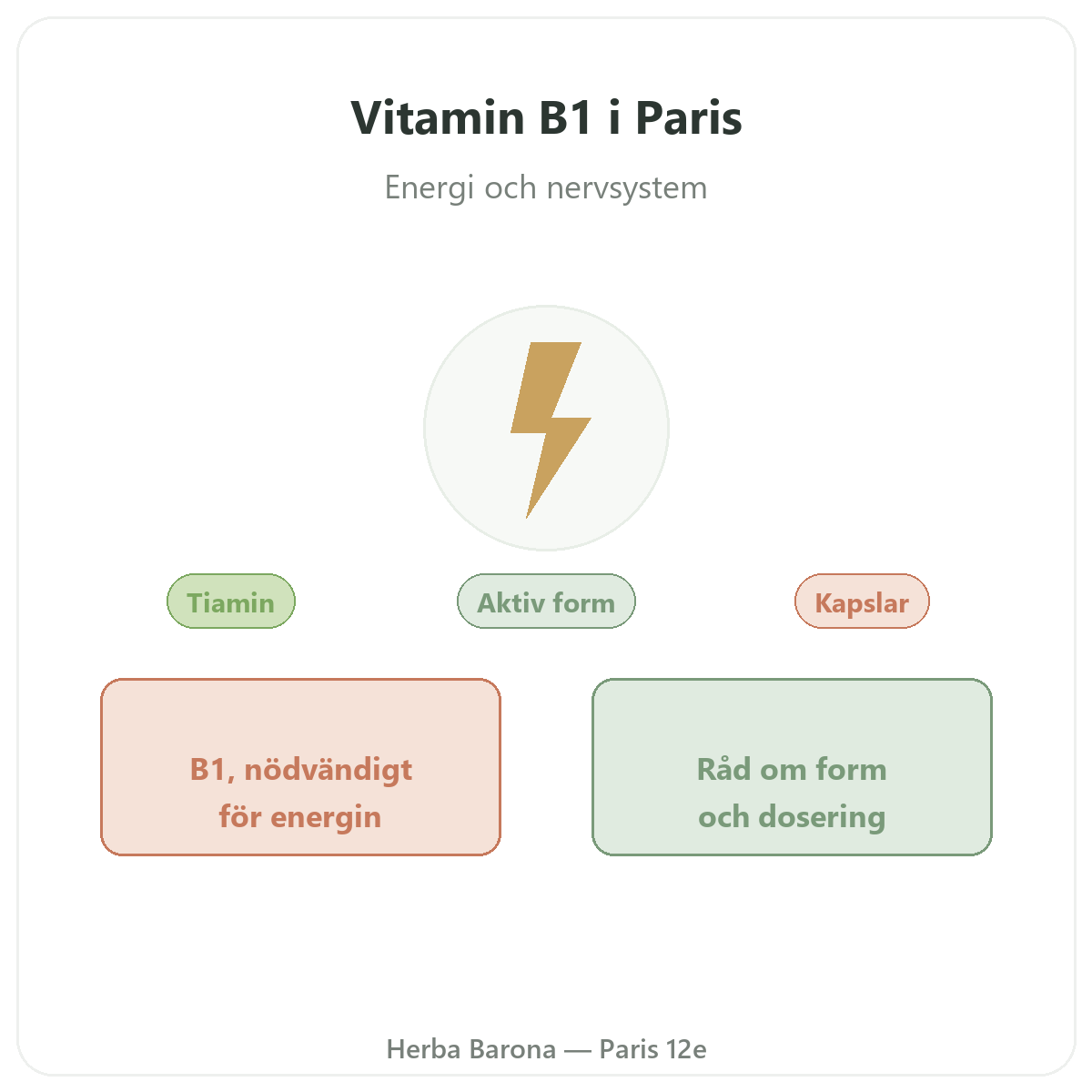 Vitamin B1 Paris Paris – presentation av varumärket hos Herba Barona Paris 12e