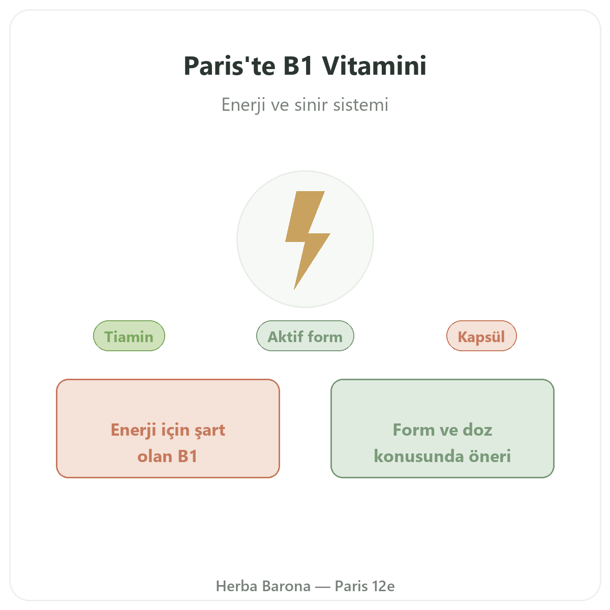 Paris’te Vitamin B1 - Herba Barona Paris 12e’de tanıtım