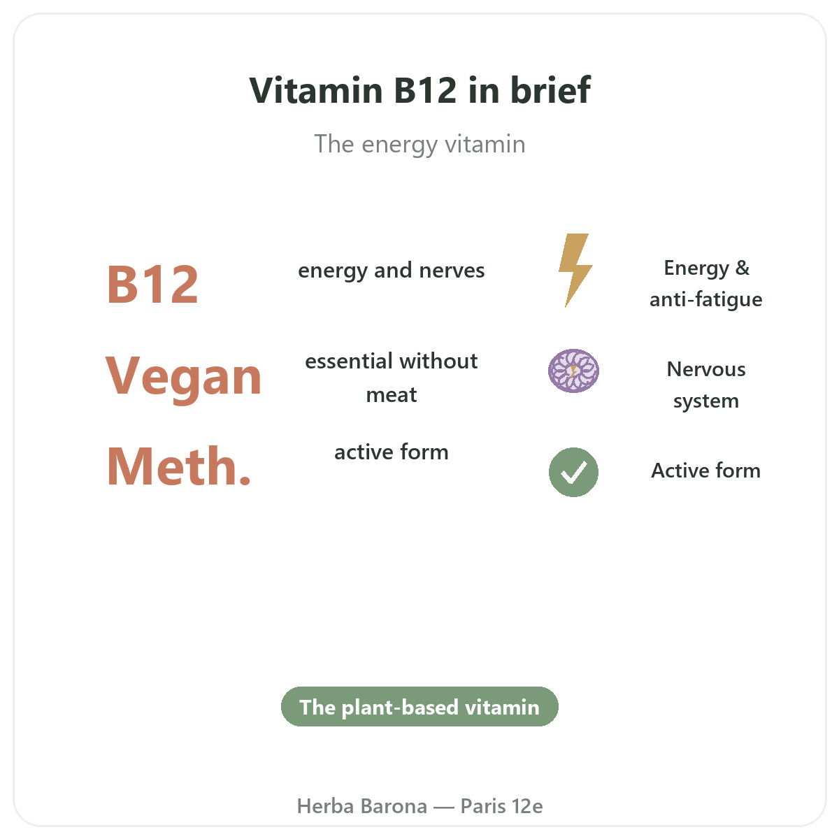 Vitamin B12 Paris at a glance - key figures at Herba Barona Paris 12e