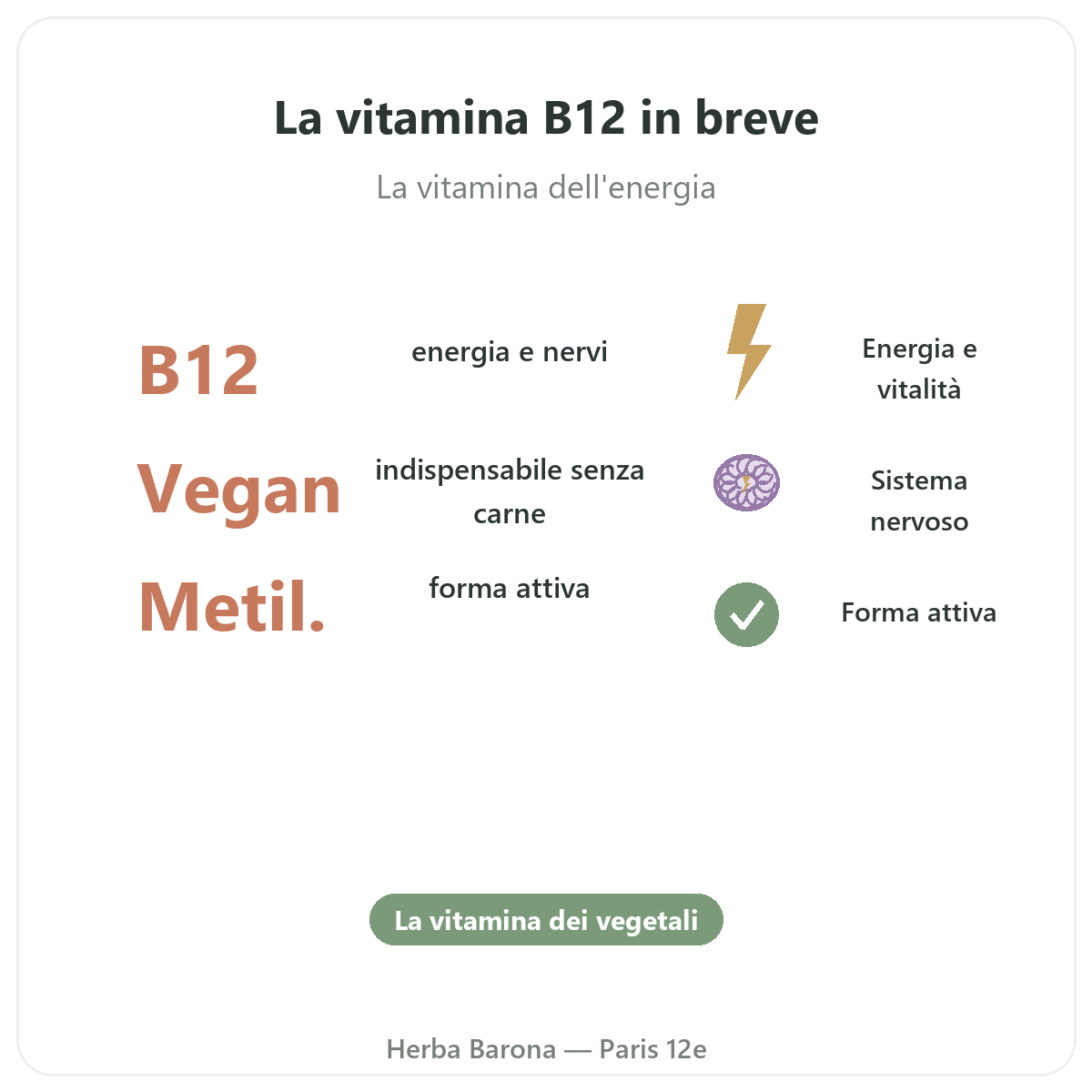 Vitamina B12 Parigi in breve - cifre chiave da Herba Barona Parigi 12e