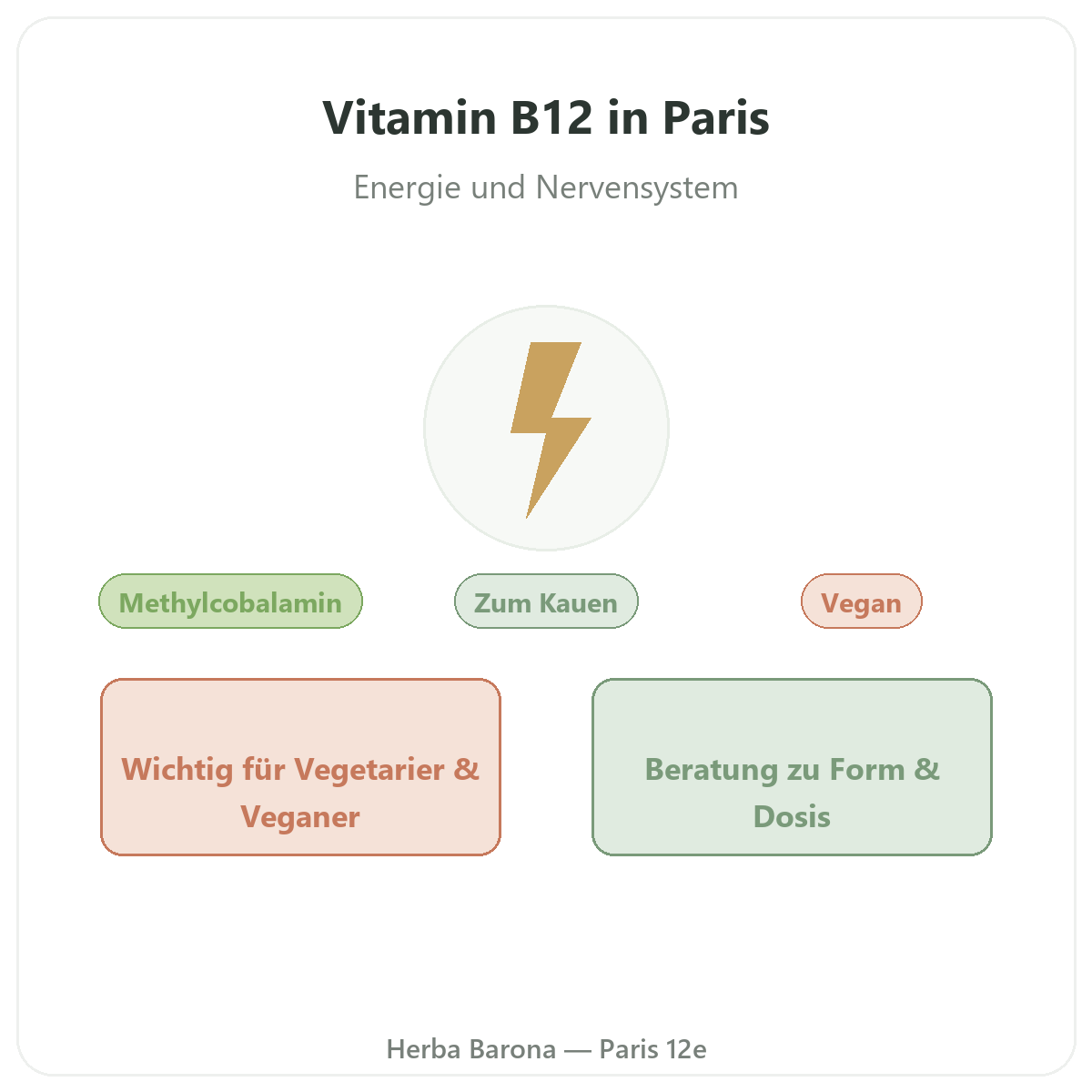 Vitamin B12 Paris – Markenvorstellung bei Herba Barona Paris 12e