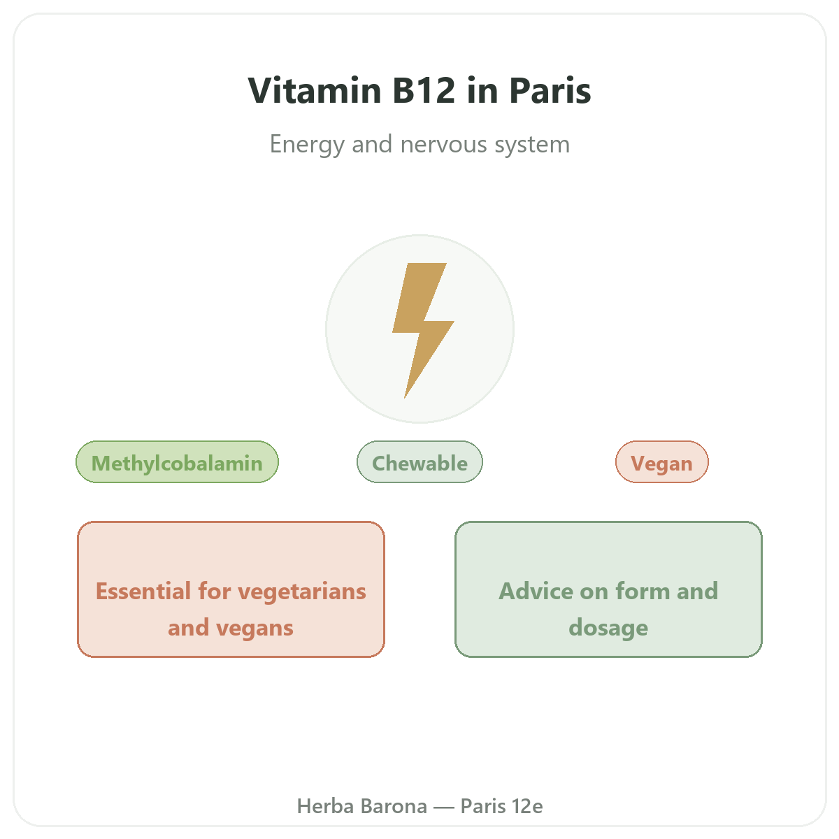 Vitamin B12 Paris - brand presentation at Herba Barona Paris 12e