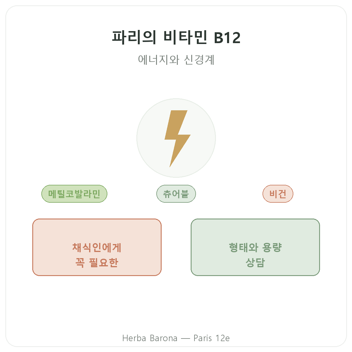 비타민 B12 파리 브랜드 소개 - Herba Barona 파리 12구
