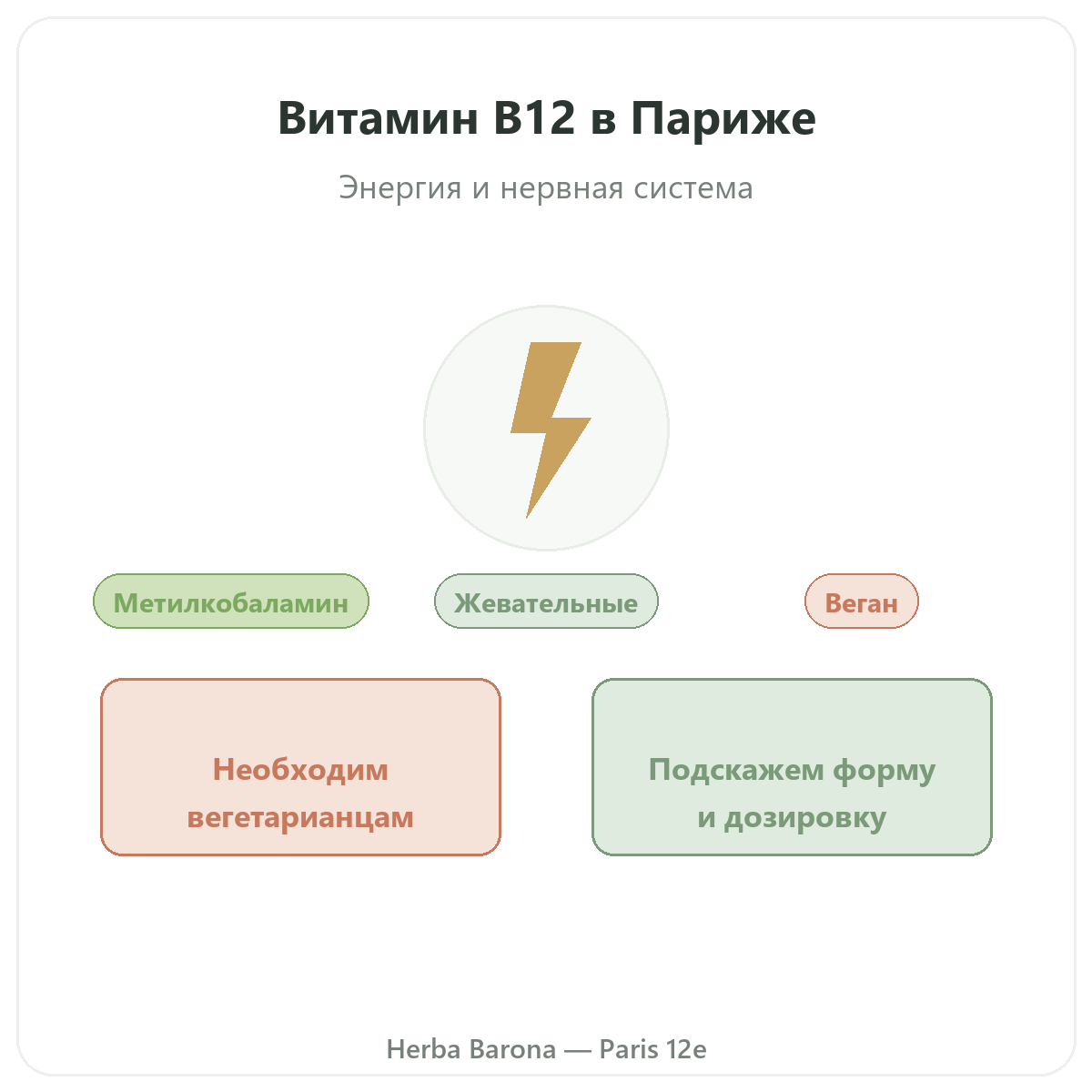 Витамин B12 Париж Париж — презентация бренда в Herba Barona Париж, 12-й округ