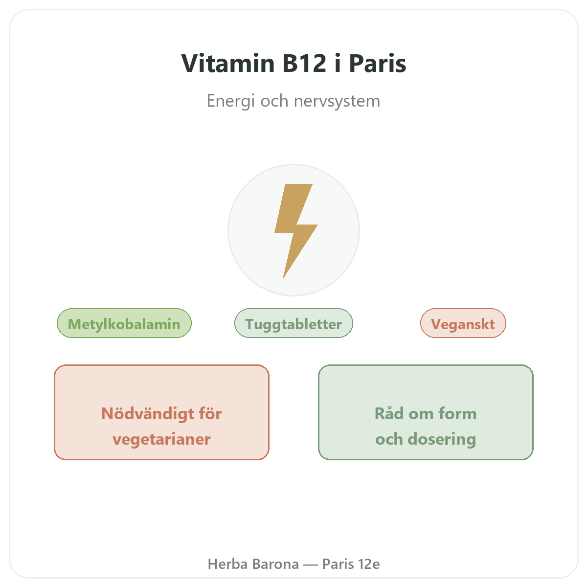 Vitamin B12 Paris Paris – presentation av varumärket hos Herba Barona Paris 12e