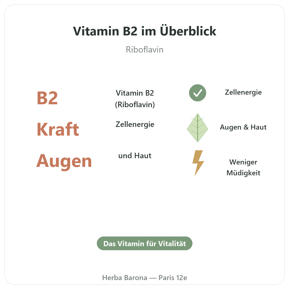 Vitamin B2 Paris auf einen Blick – wichtige Zahlen bei Herba Barona Paris 12e