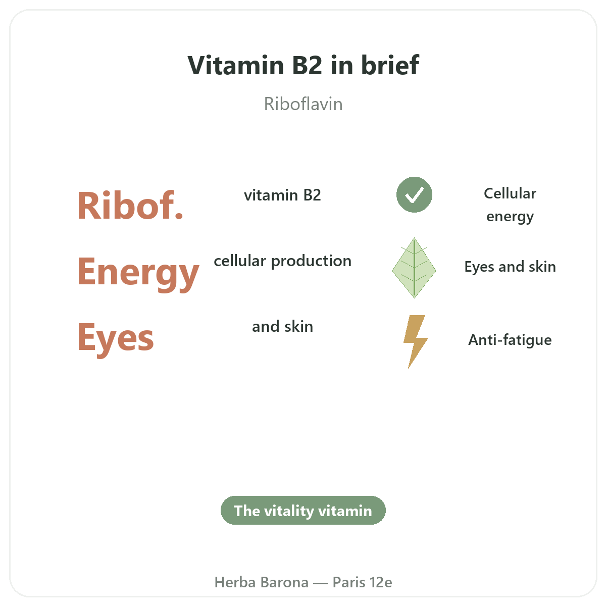 Vitamin B2 in Paris at a glance - key figures at Herba Barona Paris 12th