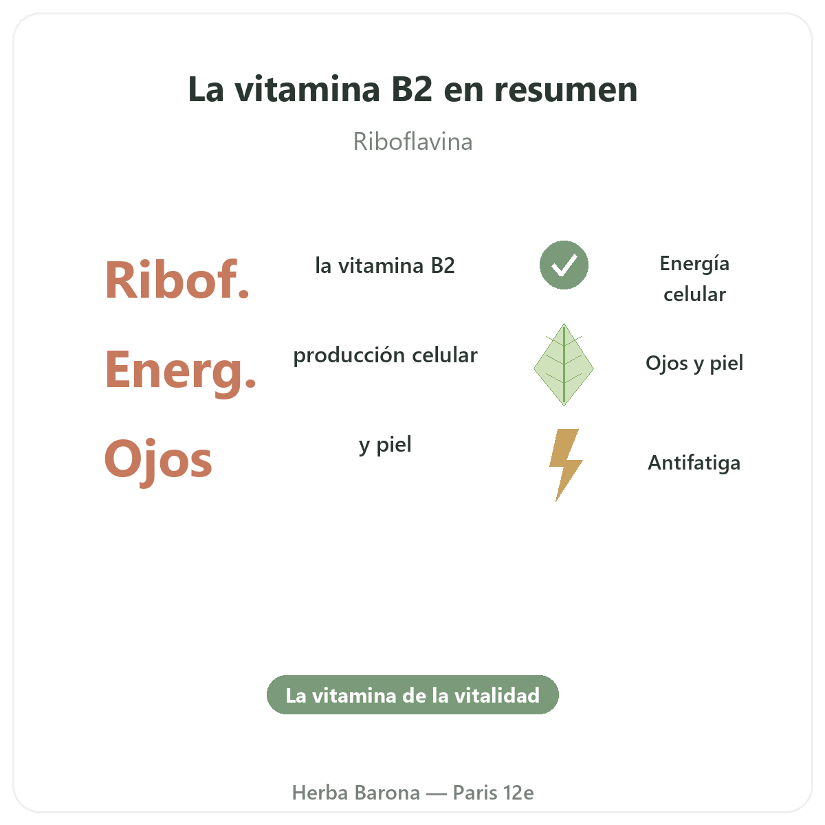 Vitamina B2 París París en resumen - datos clave en Herba Barona París 12e