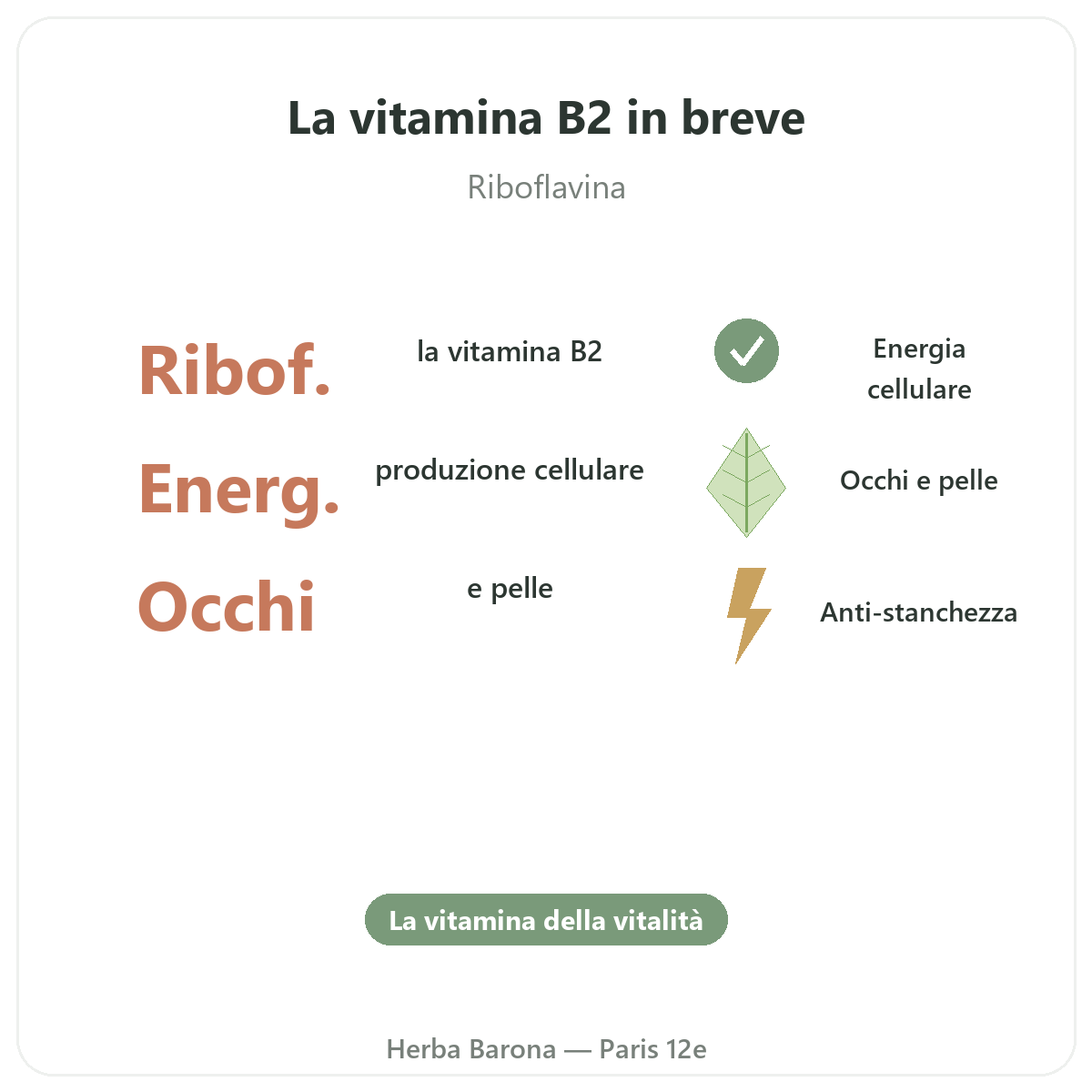 Vitamina B2 Parigi in breve - cifre chiave da Herba Barona Parigi 12e