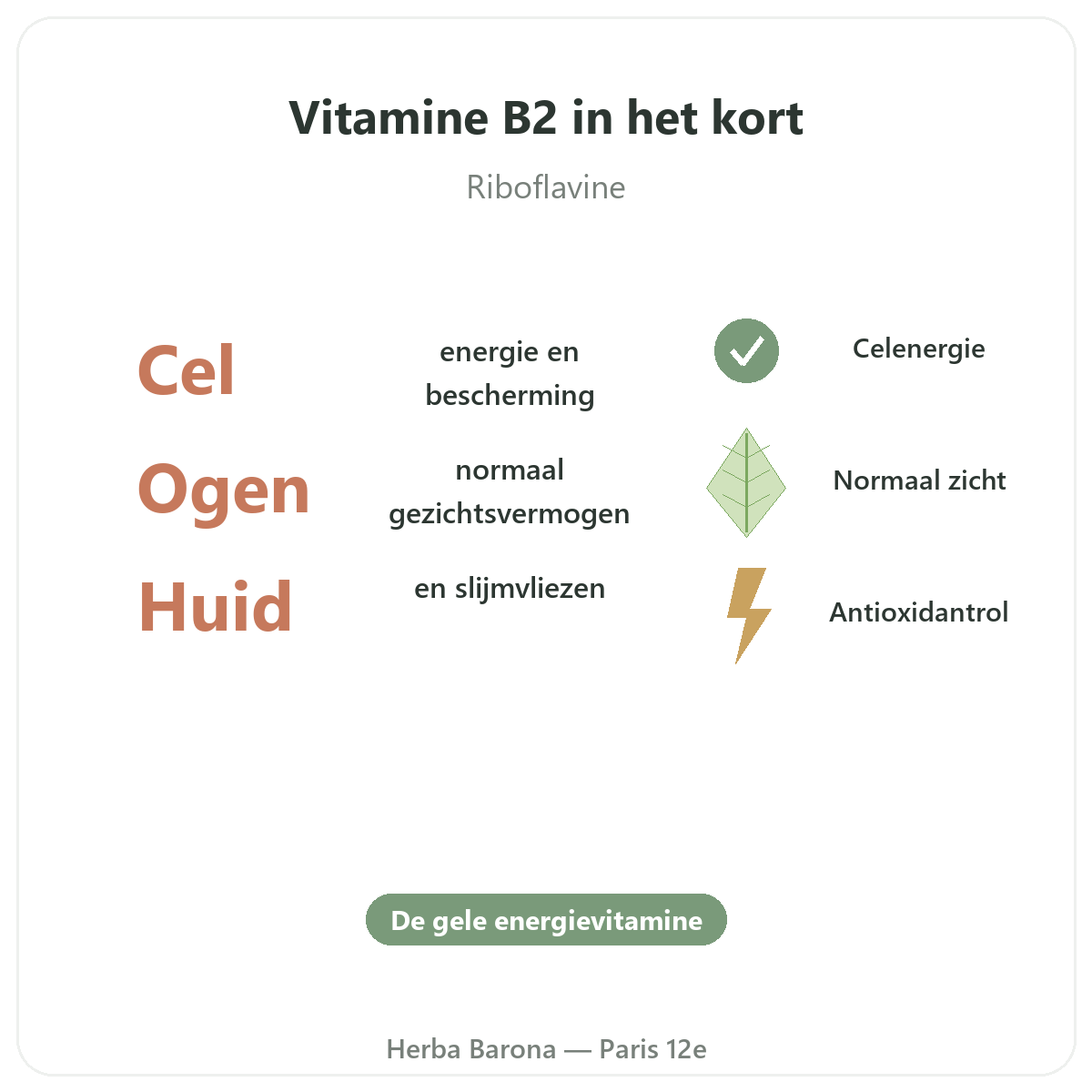 Vitamine B2 Paris Paris en bref - chiffres cles chez Herba Barona Paris 12e