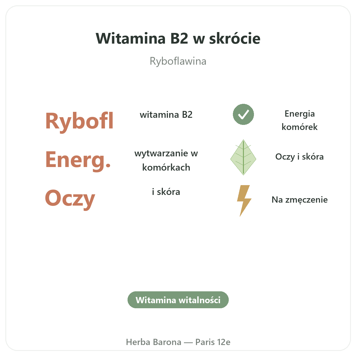 Witamina B2 Paryż w skrócie - kluczowe liczby w Herba Barona Paris 12e