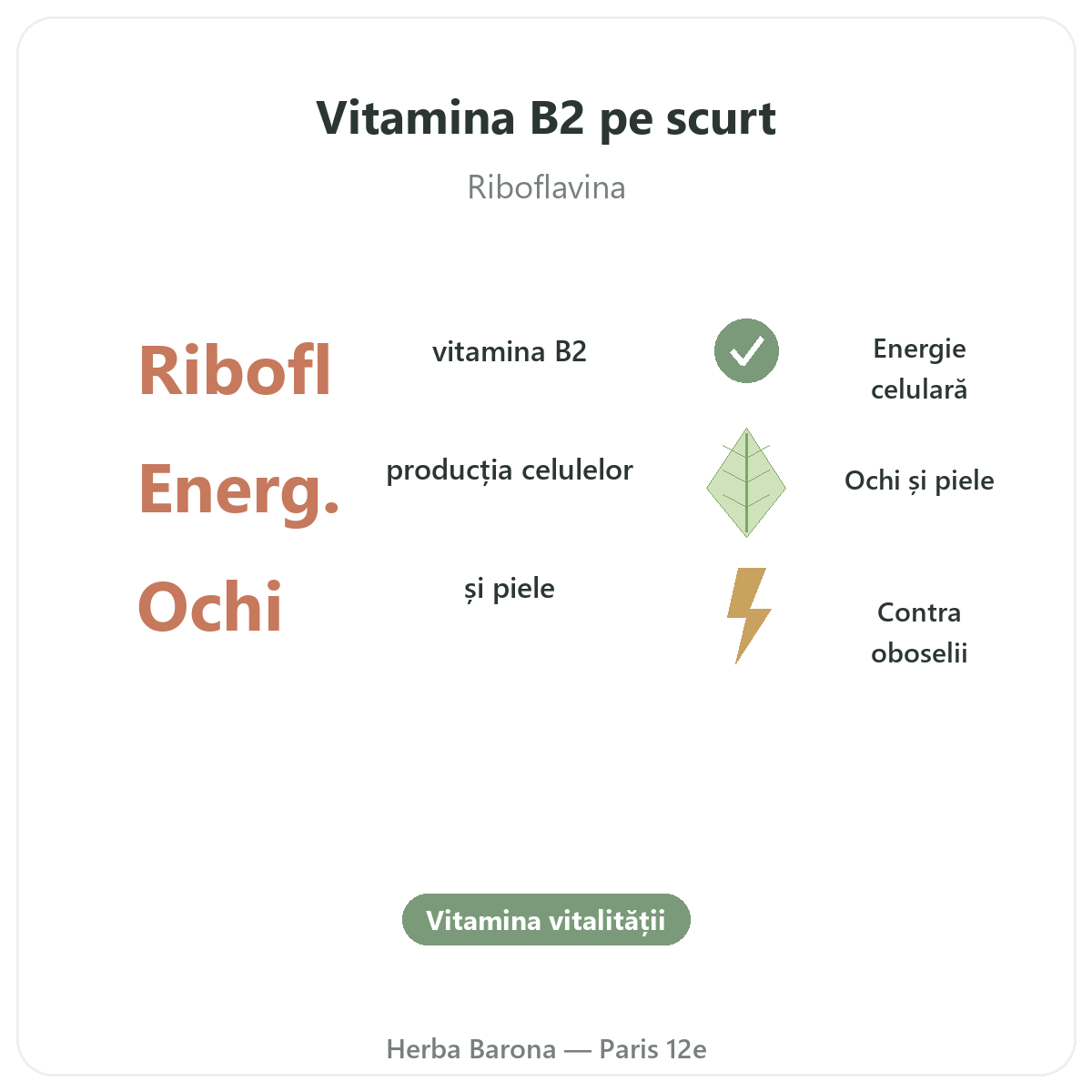 Vitamina B2 Paris pe scurt - cifre cheie la Herba Barona Paris, arondismentul 12