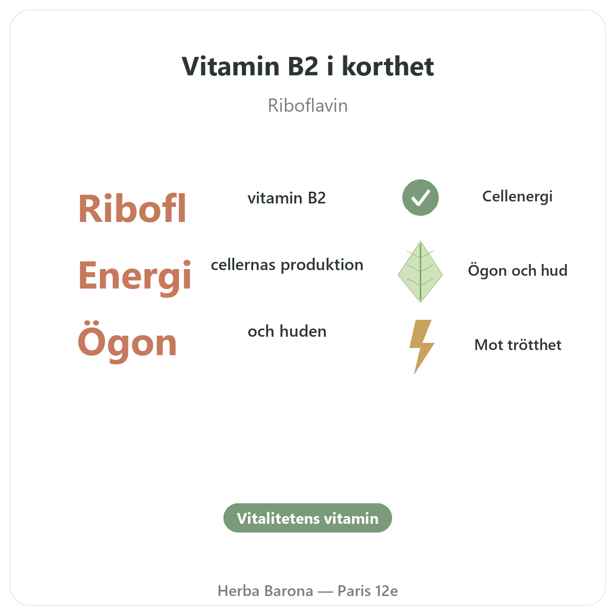 Vitamin B2 Paris Paris i korthet – nyckeltal hos Herba Barona Paris 12e