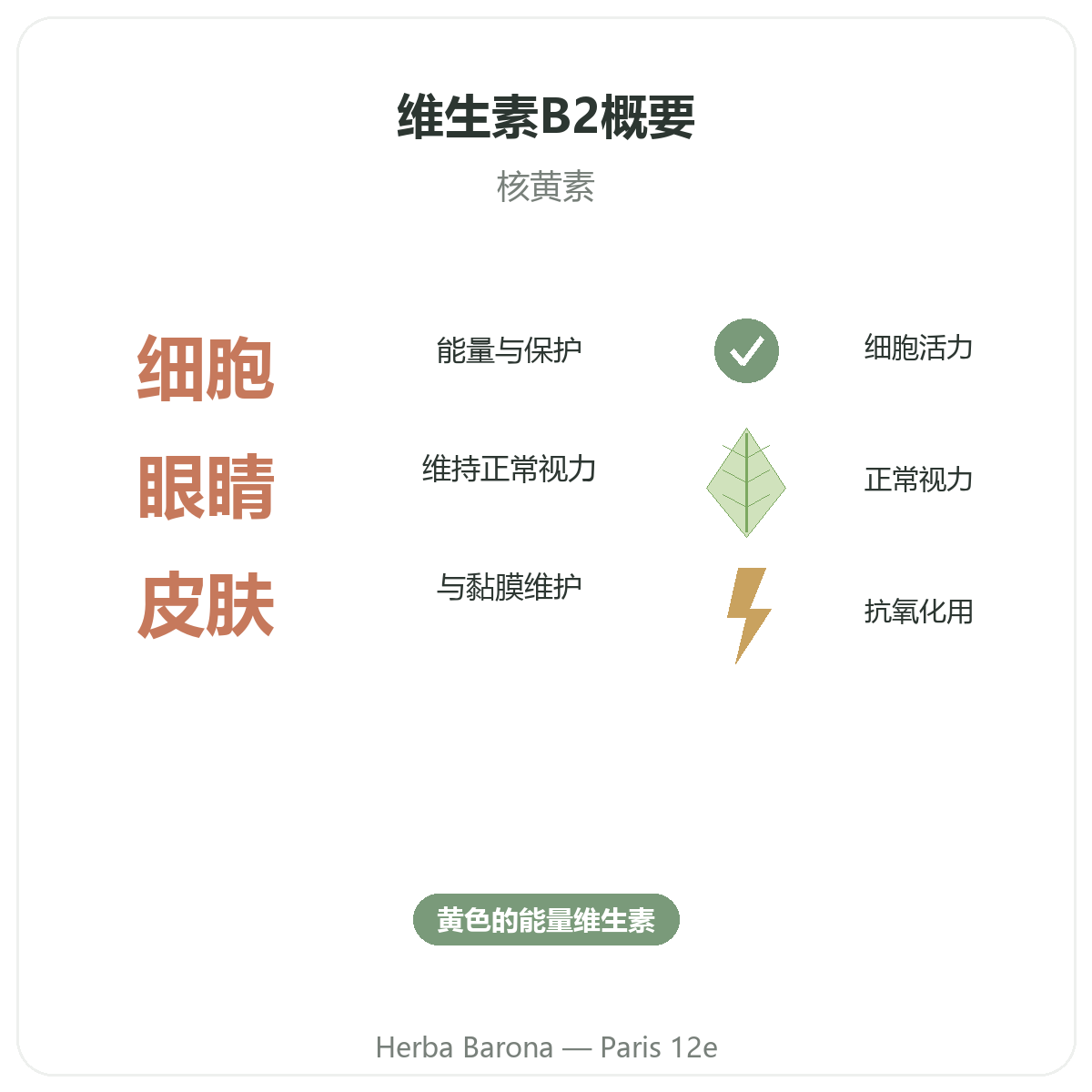 维生素B2 巴黎概览 - Herba Barona 巴黎12区门店重要数据