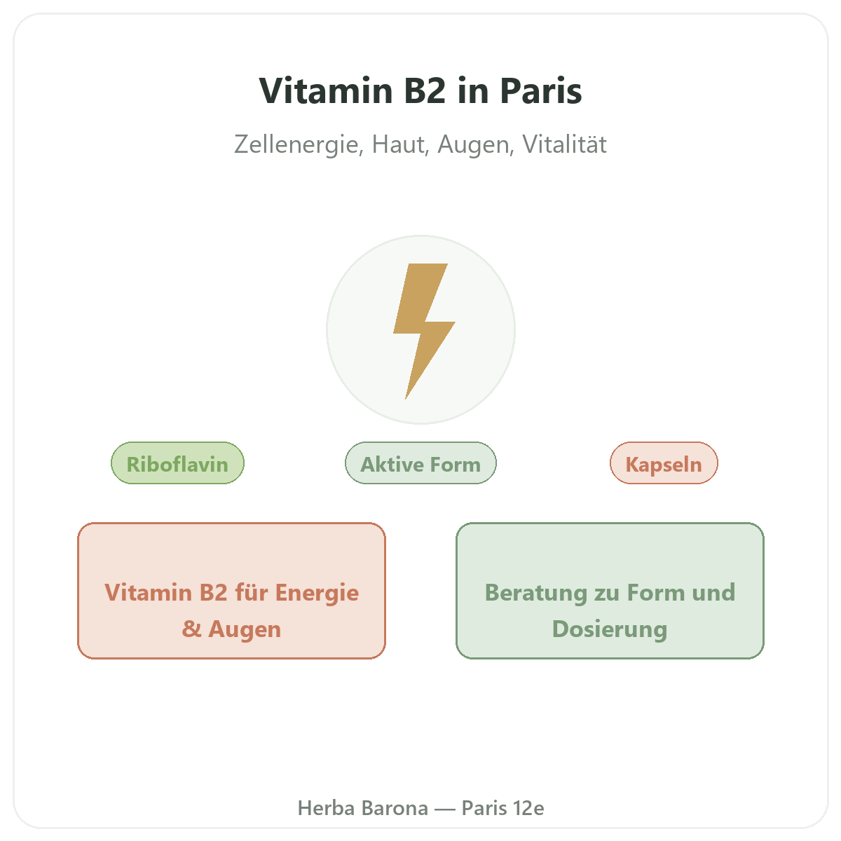 Vitamin B2 Paris – Markenvorstellung bei Herba Barona Paris 12e