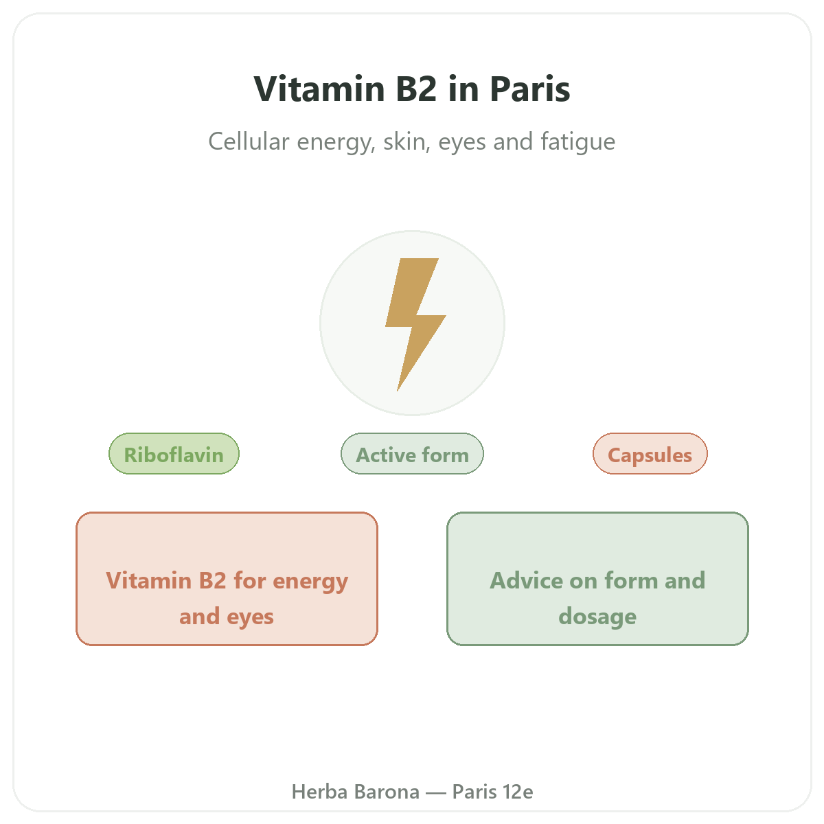 Vitamin B2 in Paris - brand overview at Herba Barona Paris 12th