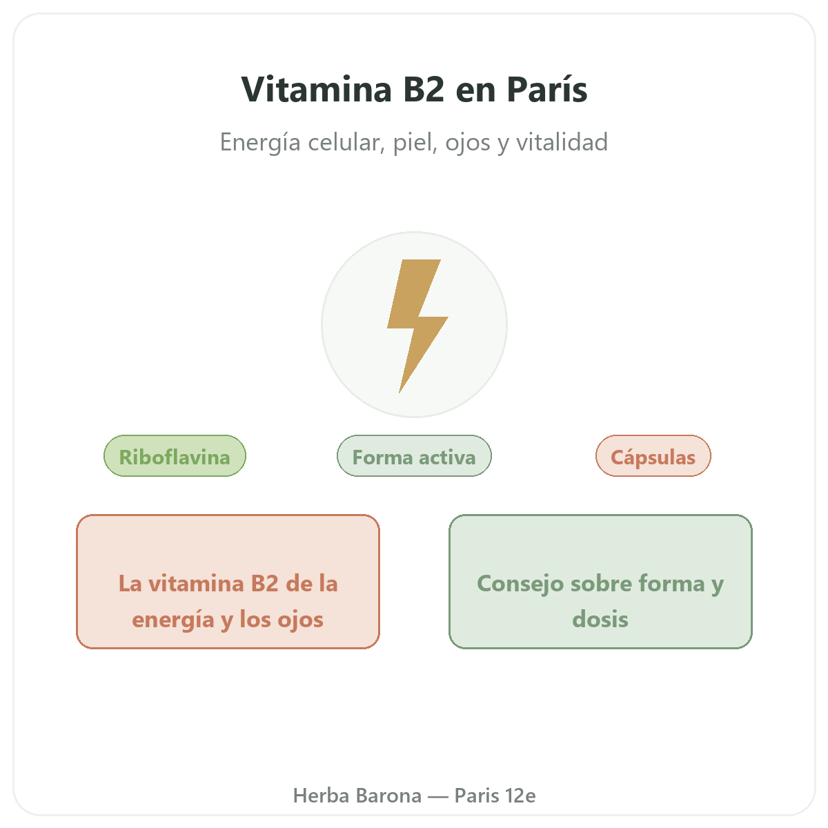 Vitamina B2 París París - presentación de la marca en Herba Barona París 12e