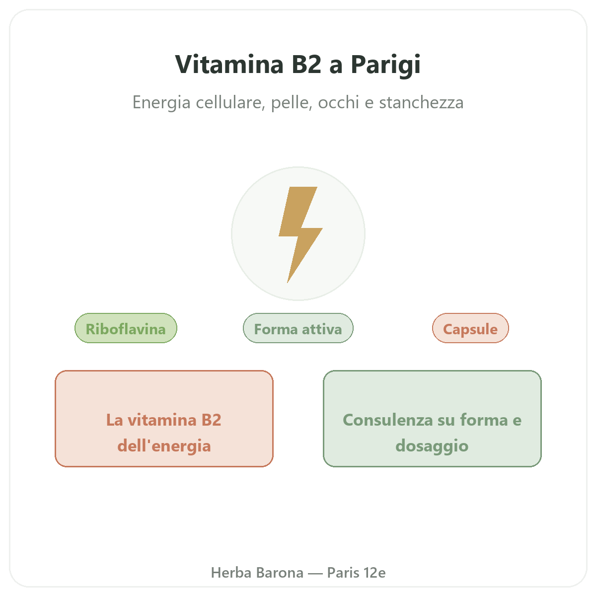 Vitamina B2 Parigi - presentazione del marchio da Herba Barona Parigi 12e